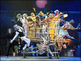 CATS EDIZIONE ITALIANA.  IL 14 APRILE TORNA A ROMA AL TEATRO SISTINA