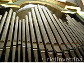 CONCERTO D'ORGANO NELLA COLLEGIATA DI S.MICHELE ARCANGELO A CONTIGLIANO