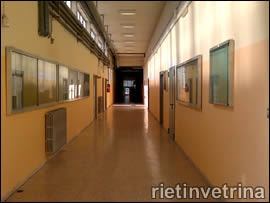 REGIONE, DA GIUNTA OK A DIMENSIONAMENTO SCOLASTICO 2012/2013