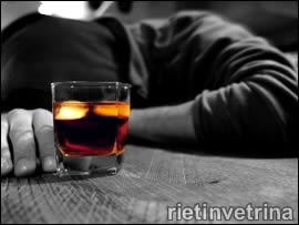 ALCOL: PIACERE DI CONOSCERTI.  CICLO DI INCONTRI PER CONOSCERE MEGLIO L'UNIVERSO ALCOL