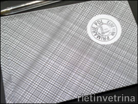 ALLE 19.45 4.116 PERSONE AL VOTO PER LE PRIMARIE DEL PDL