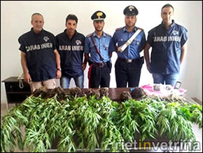 COLTIVAVA MARIJUANA NELL'ORTO DI CASA. ARRESTATO 34ENNE