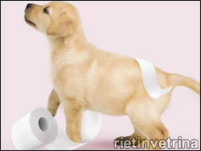 1.500 ROTOLI DI CARTA IGIENICA ALLA SCUOLA FERMI DI MONTOPOLI DI SABINA