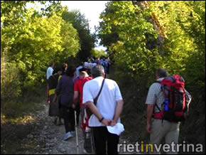 DOMENICA 6 OTTOBRE TUTTI IN CAMMINO !