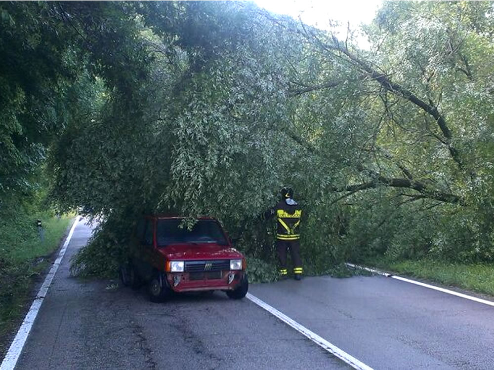 Maltempo su tutto il Reatino. Caduto albero su auto in transito