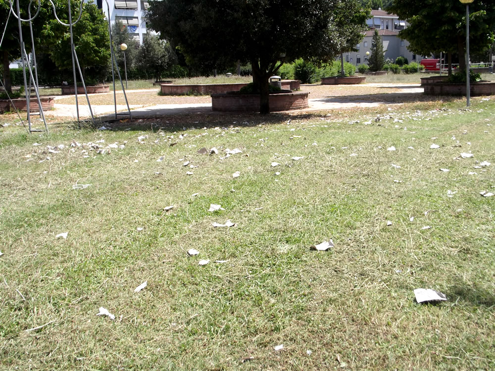 Tagliata l'erba in una parte del parco di via Comotti. Serviva un piccolo incoraggiamento!