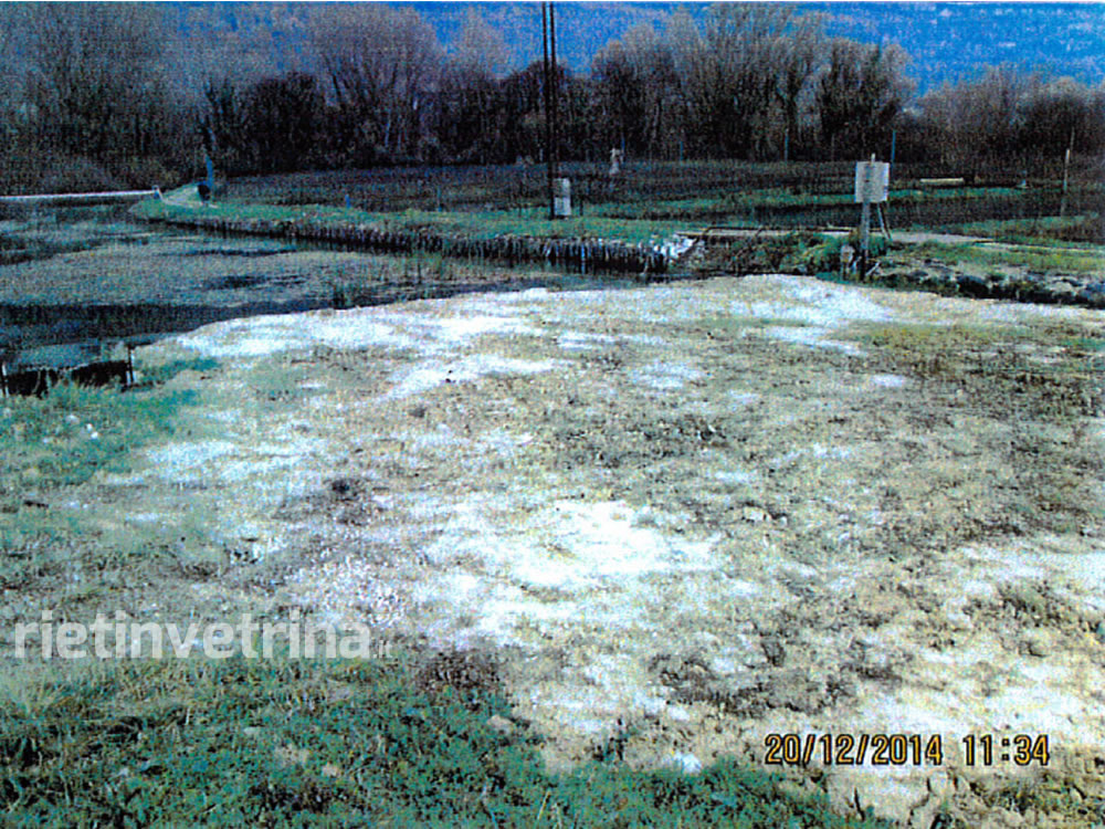 Fiume Santa Susanna, i residenti: troppi i cambi al corso dell'acqua. Basta!