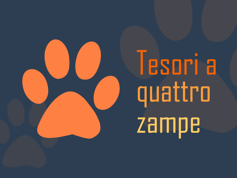 Per dare voce agli amici animali è nato www.tesoriaquattrozampe.it