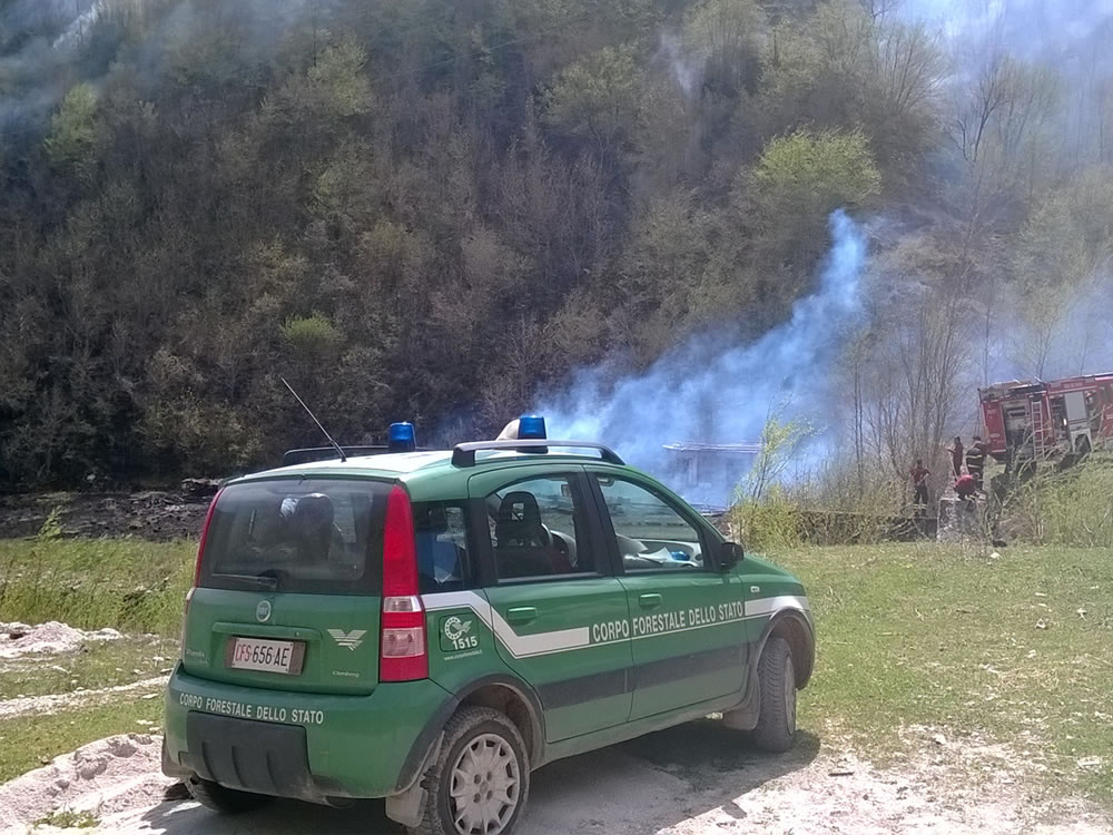 Incendio doloso a Posta. Bruciati 15.000 mq di bosco