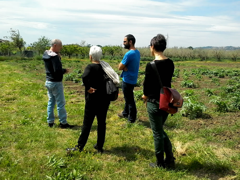 Guado, a Rieti la filiera produttiva. Comitato spontaneo: si può fare