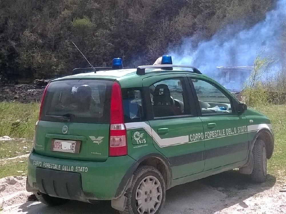 Incendia la vegetazione, colto in flagranza di reato dal CFS. Arrestato