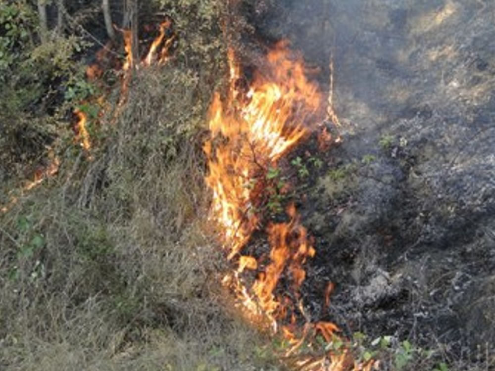 Sorpresa ad appiccare il fuoco. Arrestata piromane 52enne