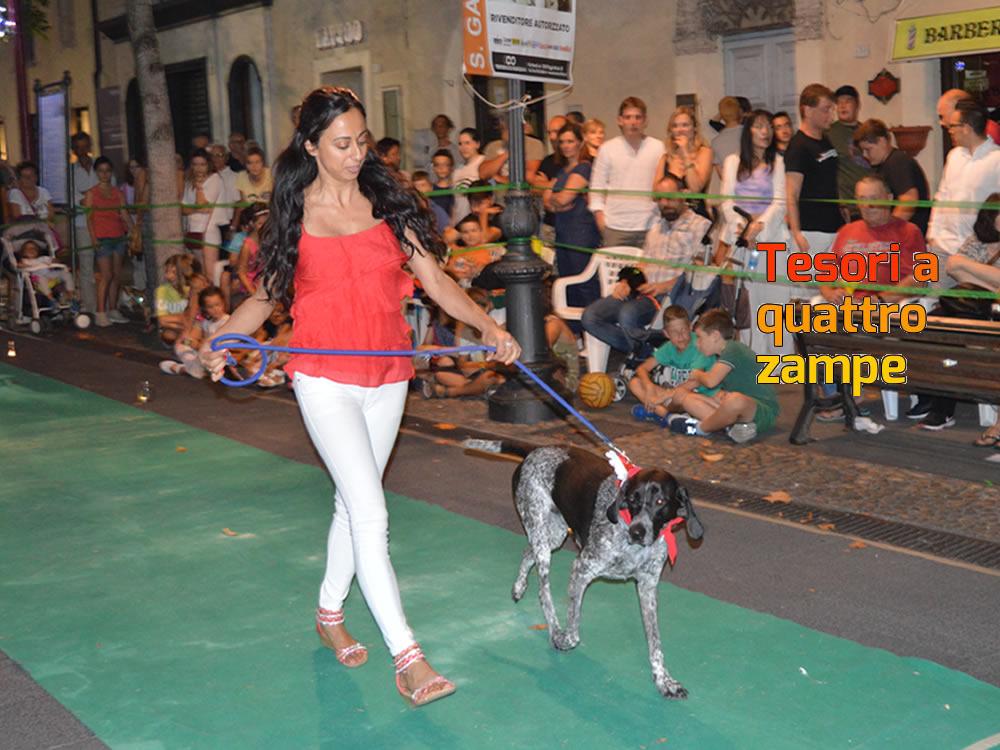 “Una giornata da Cani 3.0″ a Poggio Mirteto – Galleria fotografica