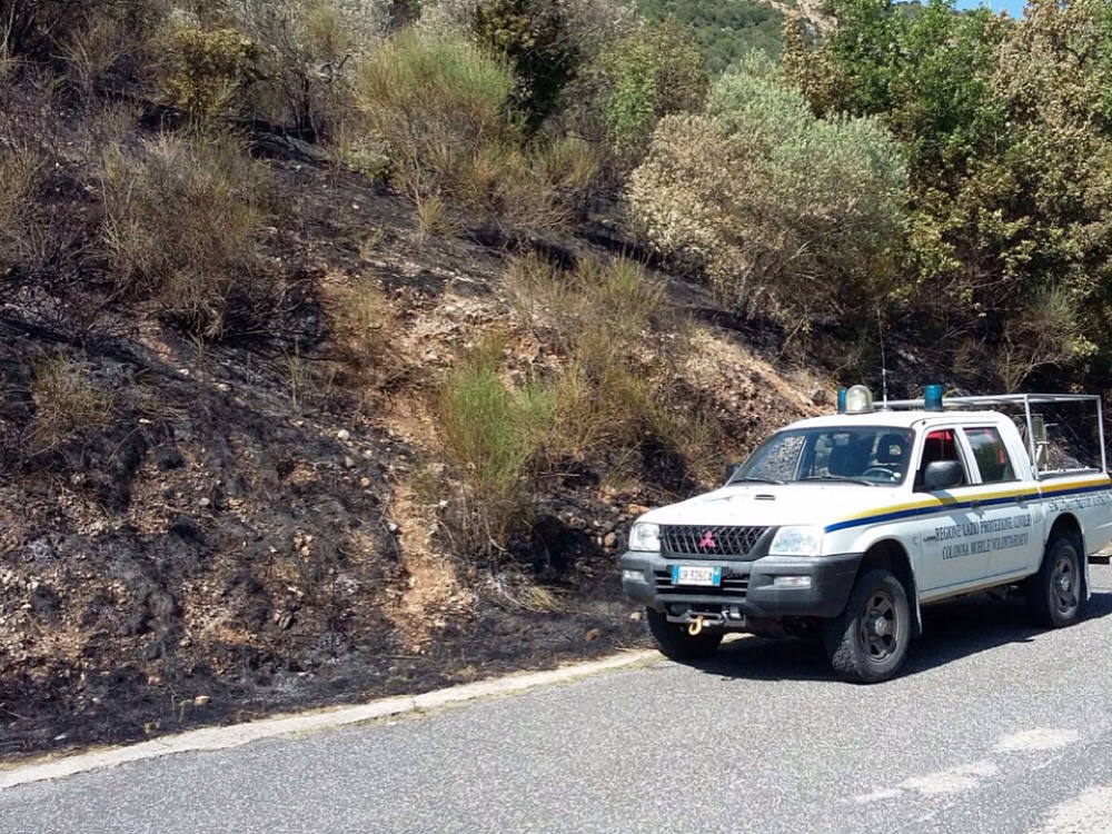Incendio boschivo a Cottanello, sul posto la Protezione Civile N.O.E. e i VVF