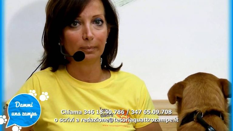 DAMMI UNA ZAMPA – Nella settima puntata: l’amorevole MIELEO. Adottalo