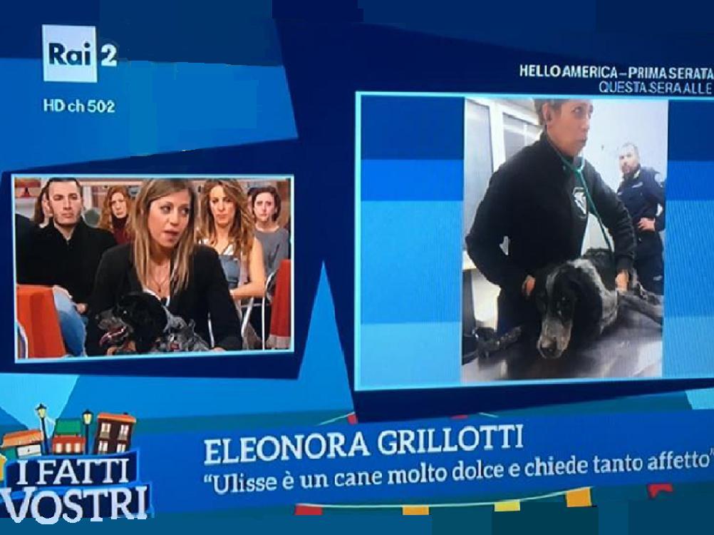 La veterinaria reatina Eleonora Grillotti ospite de "I Fatti Vostri" su Rai2. Con lei il dolce Ulisse