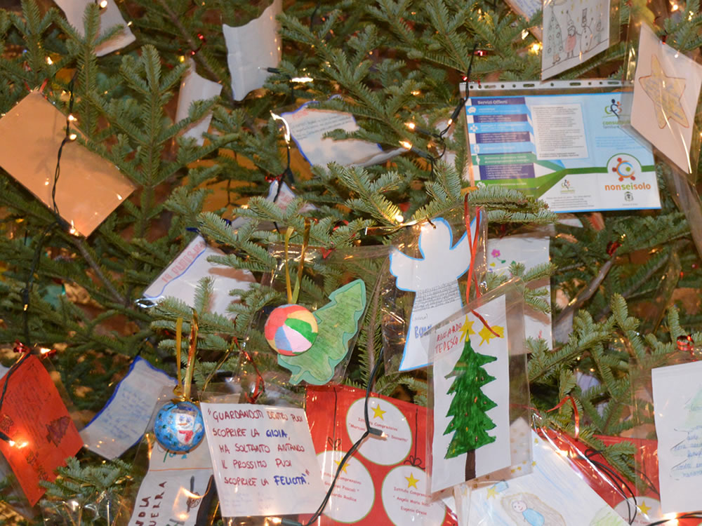In piazza Vittori "L'albero della Speranza Rieti/Amatrice" promosso da “Non sei solo”