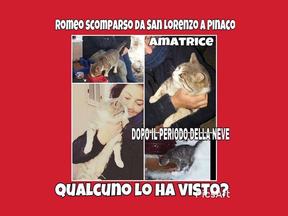 Romeo è scomparso da Amatrice. Aiutiamo la famiglia a ritrovarlo