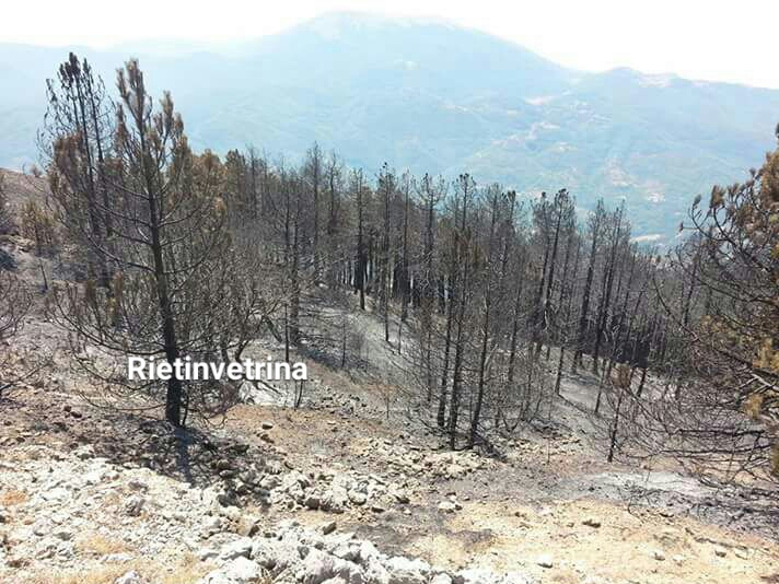 La scritta DVX vista da vicino. Ecco cosa ne rimane