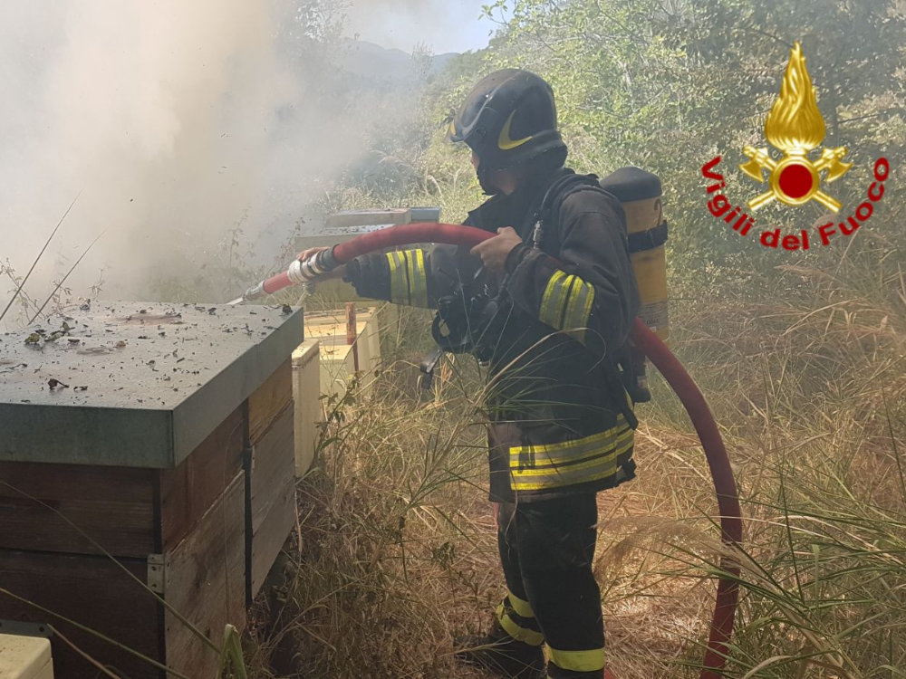 Incendio a Poggio San Lorenzo. A rischio arnie e api