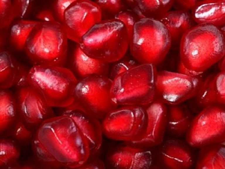 Agroalimentare, pubblicato il bando per la partecipazione a fiere nazionali e internazionali