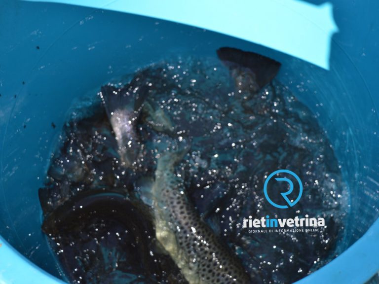 Lazio, due milioni di euro per le imprese di trasformazione dei prodotti della pesca e dell’acquacoltura
