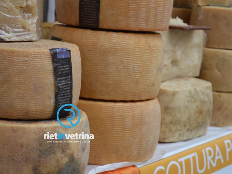 Pecorino, PUA e filiere: Coldiretti Lazio porta in Commissione le sue proposte