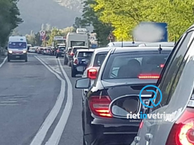 Rallentato il traffico sulla Salaria per Roma per un cinghiale morto e ancora in strada