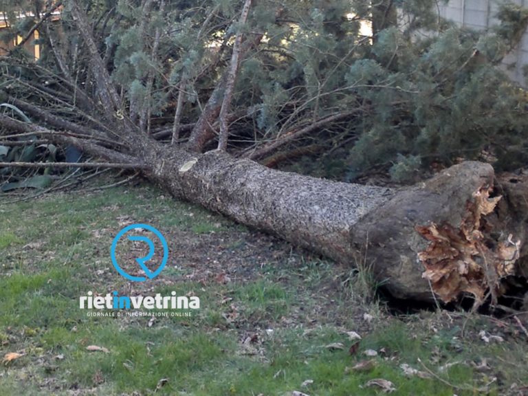 Allerta per venti forti con raffiche di burrasca