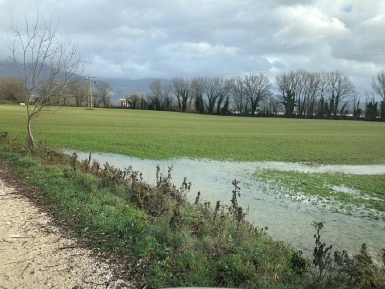 Agricoltura Lazio, 1 milione di euro ai Consorzi di Bonifica per emergenza idrica