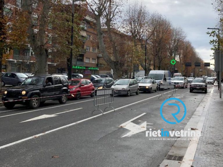 Associazione Civica Salviamo viale Maraini: “Impegno alla trasparenza e a riscontri oggettivi per gli abbattimenti di alberi a Rieti, ma senza dimenticare le ripiantumazioni”