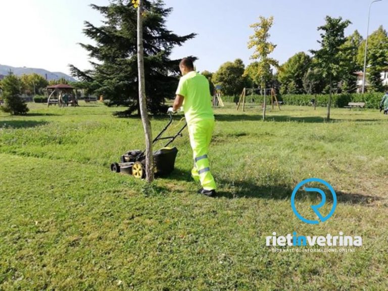 Manifestazioni di interesse per concessione, adozione o sponsorizzazione delle aree verdi cittadine