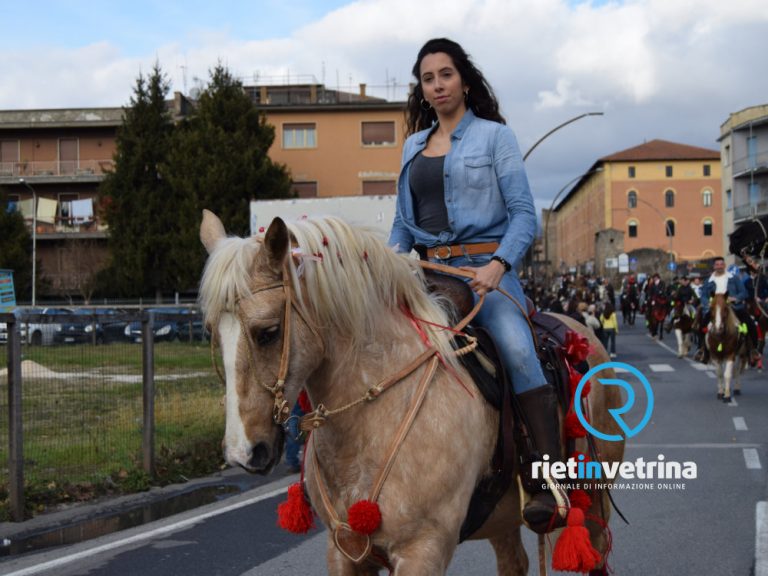 Domenica 2 febbraio i “Cavalli Infiocchettati 2025” – IL CALENDARIO DELLE INIZIATIVE