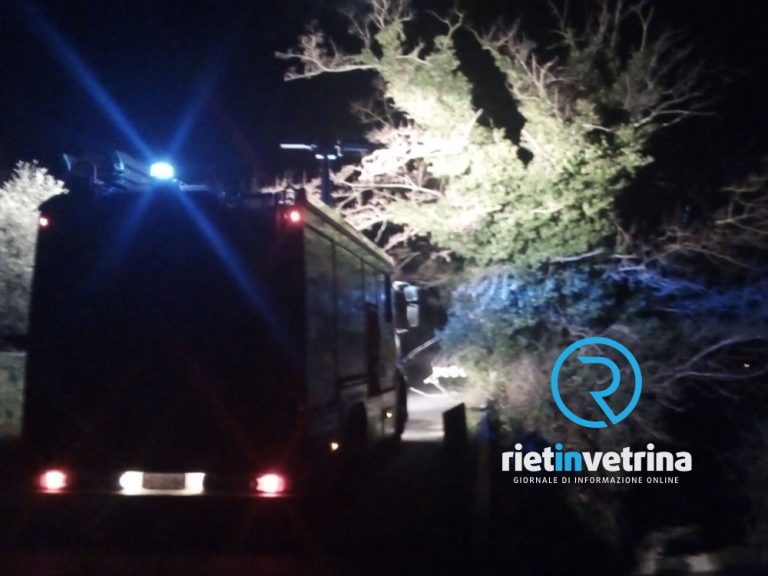 Associazione Commercianti Amatrice: “Stop all’emergenza continua. Subito interventi strutturali per i centri commerciali”