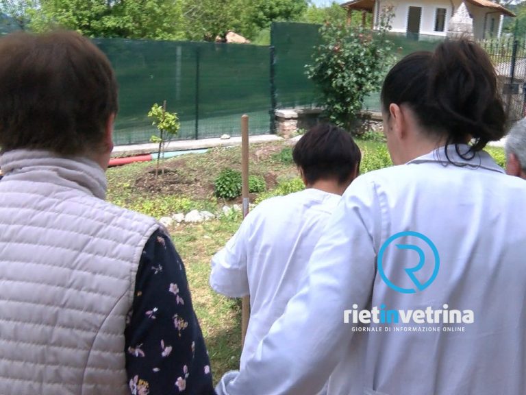 Giornata Mondiale dell’Alzheimer, grazie a chi è vicino alle famiglie