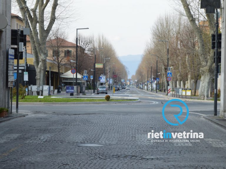 Associazione Salviamo viale Maraini: “Tagliare in fretta gli alberi è una pessima idea: rischio epidemia per i platani storici. Riterremo il Comune responsabile”