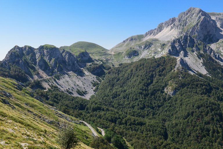Transizione ecologica, soluzioni basate sulla Natura: innovazione, casi applicativi e politiche