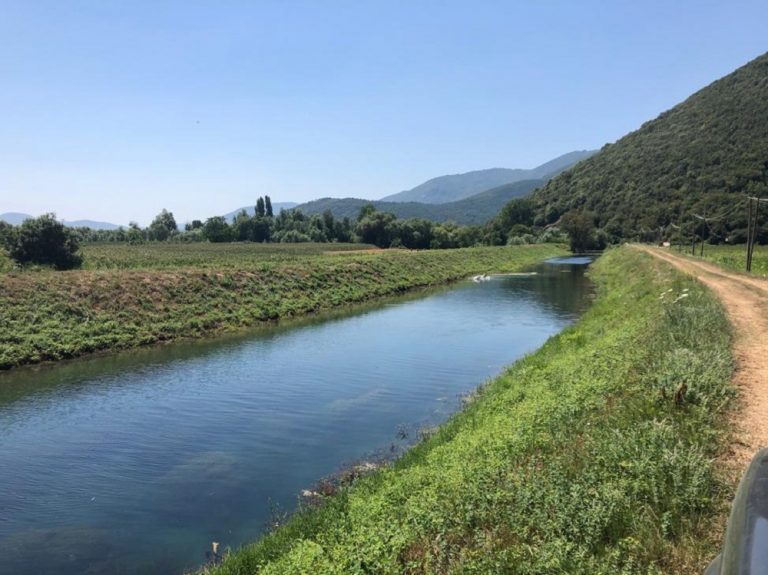 Consorzio Bonifica, accolto dal Consiglio di Stato il ricorso in primo grado presentato  della lista “La Bonifica”