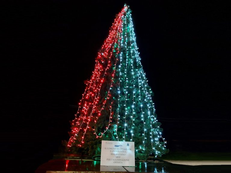Di Venanzio (Unindustria Rieti): “Albero di Natale a Cittareale segno concreto di vicinanza al territorio”