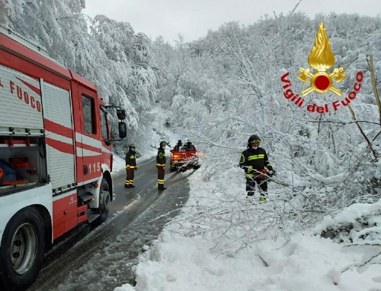 Tre famiglie rimangono in panne in un bosco