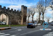 SEI TU IL REPORTER di Rietinvetrina – Ahmed: “Io e i miei figli abbiamo rischiato la vita per un’auto contromano in viale Morroni”