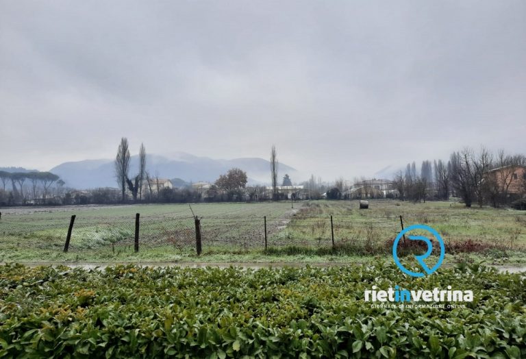 Adottato il nuovo programma delle iniziative di promozione agroalimentare biennio 25-26