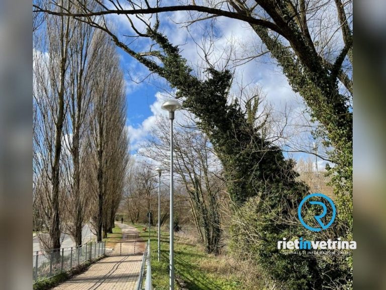 Progetto Ossigeno, per la piantumazione nei centri sportivi. Coinvolta anche Rieti – ISCRIZIONI APERTE