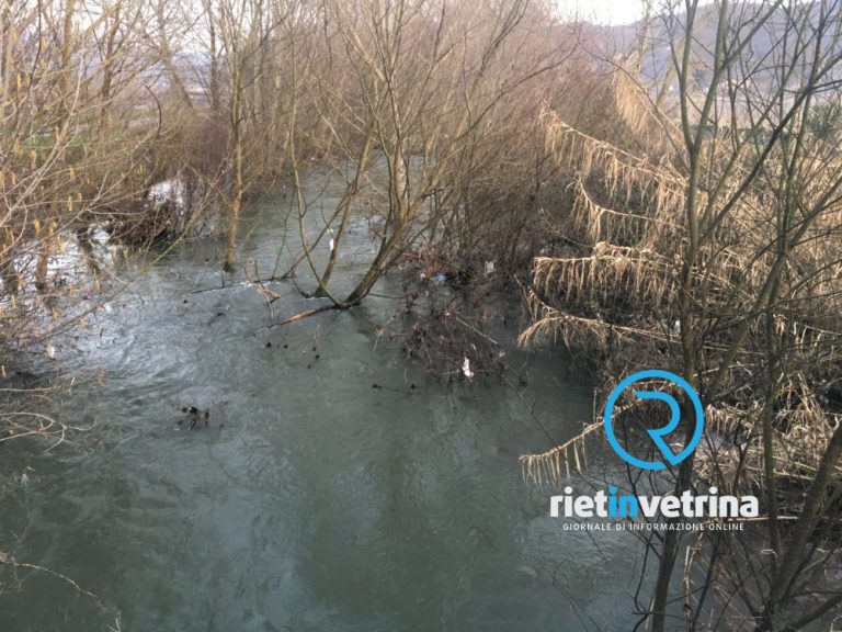 SEI TU IL REPORTER – Mirko: “Fiume Turano con poca acqua e tante piante cadute all’interno”