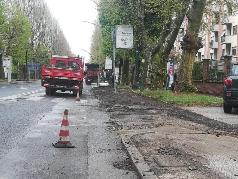 Sinistra Italiana Rieti – AVS: ” Dove sono gli alberi previsti dalle norme regionali della legge 10/2022?”