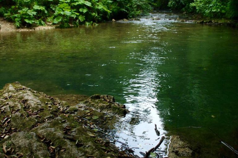 Verso il Contratto di Fiume Farfa, l’11 giugno laboratorio online