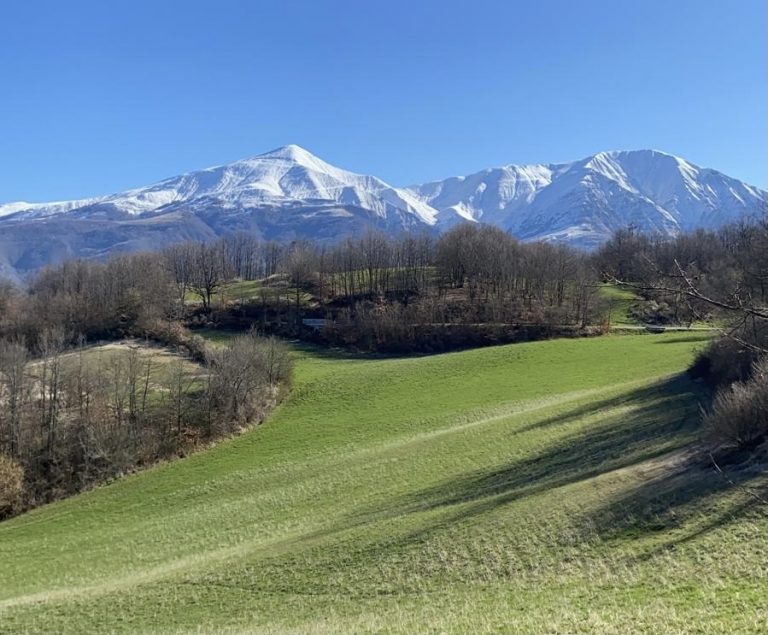 Consorzio Turistico “Salaria è” una storia di resilienza e restanza