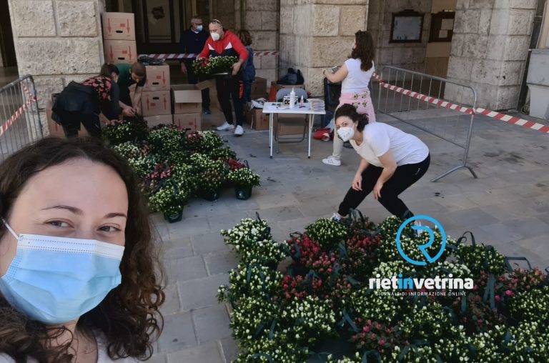Rieti, Azalee AIRC andate a ruba. In due ore vendute oltre 200