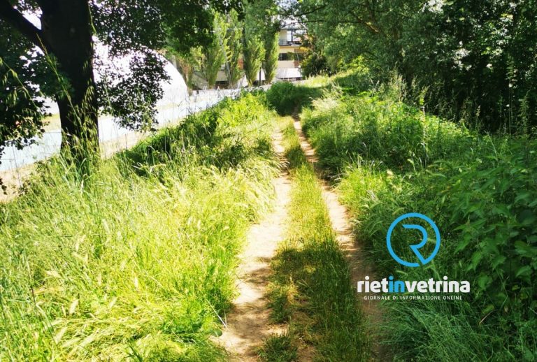 SEI TU IL REPORTER – “Lungo l’argine del Velino è come correre in un bosco”