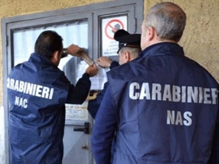 NAS controllano allevamento di tacchini: trovate molteplici irregolarità